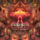 Terraspin - An Alien Experience (Original Mix)