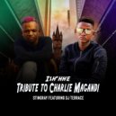 StingRay & Terrace - Tribute to Magandi (feat. Terrace) ()