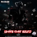 Rhades - Whats That Sound (original mix)