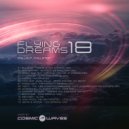 Cosmic Waves - Flying Dreams 018 (01.08.2019)