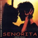 Shawn Mendes & Camila Cabello - Senorita