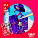 MOLLY & JYYE - Красивый мальчик (Serg Shenon MashUp)