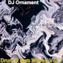 DJ Ornament - Drum & Bass Waves. Vol. 7 ()