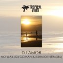 DJ Amor - No Way