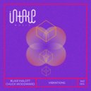 Blair Malott & Chuck Woodward - Vibrations ()