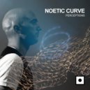 Noetic Curve - Reflection