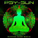 Psy-Sun - DUB Terror (Original Mix)