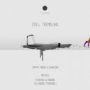 Dimitri Monev, Guanlong - L\'herbe pourpre (Alejandro Fernandez Remix)