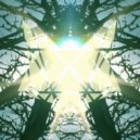FOXTRAP - New Seeds (Boards of Canada Remake)