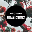 Noetic Curve - Primal Contact
