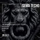 Sema Techo & Letaem - This Wonderful World (feat. Letaem) (Original Mix)