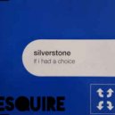 Silverstone - If I Had A Choice (eSquire 2019 Remix)