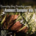 Richard Sander - The End of Everything (Ambient Mix)