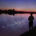 Mr. Jeyms feat. Hanny - Sound of Life