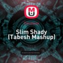 Eminem - Slim Shady (Tabesh Mashup)