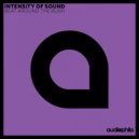 Intensity of Sound - Death by Disco