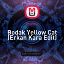 Pawsa - Bodak Yellow Cat
