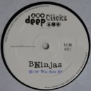 BNinjas - Now We See (Kananelo Matlolane & Kaygo Soul Remix)