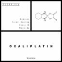 Pedro Gil & Forest Healing - Oxaliplatin (Forest Healing Remix)