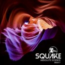 Squake - Find The Funk