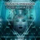 Acoustic Pressure - Pia Mater
