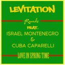 Levitation Records - Love In Springtime (feat. Israel Montenegro & Cuba Caparelli)