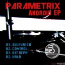 Parametrix - Sulfurico (Original Mix)