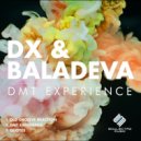 DX & Baladeva - Old Groove Reaction