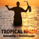 Aesthetics, Syntheticsax - Tropical Night