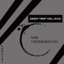 Martone - Groove Tonight (Extreme\'s 7\'inch Late Night Remix)