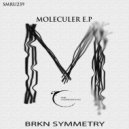 BRKN Symmetry - Girl Scout (Original mix)