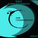 V.O.Y - Rhythm Of Sound