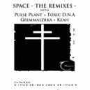 Pulse Plant - Space