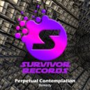 Perpetual Contemplation - Synthetic Desire