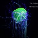 Osc Project - Fluorescence
