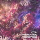 PLS&TY - Summer\'s Young (Shadient Remix)