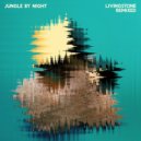 Jungle By Night - Spending Week
