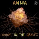 Anija - Not Ready