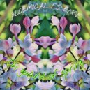 ALCEMICAL ESSENCE - Curls and Stones