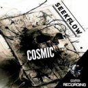 SeekFlow - Cosmic
