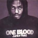 Junior Reid - One blood (Subcriminal Bootleg)