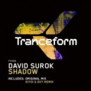 David Surok - Shadow
