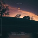 Spencer Brown, Marsh - Pursuance