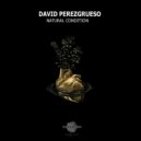 David Perezgrueso - Enredando