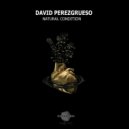 David Perezgrueso - El Sendero Loco (Original Mix)