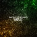 Roman Messer feat. Christina Novelli - Fireflies (Alexander Popov Extended Remix)