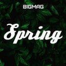 BigMag - Spring mix (2020)