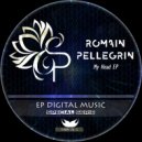 Romain Pellegrin - Acouphene (Original Mix)