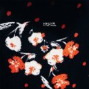 Kikuya - A Few Hours