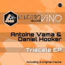 Antoine Vama & Daniel Hooker - Triscele (Original Mix)